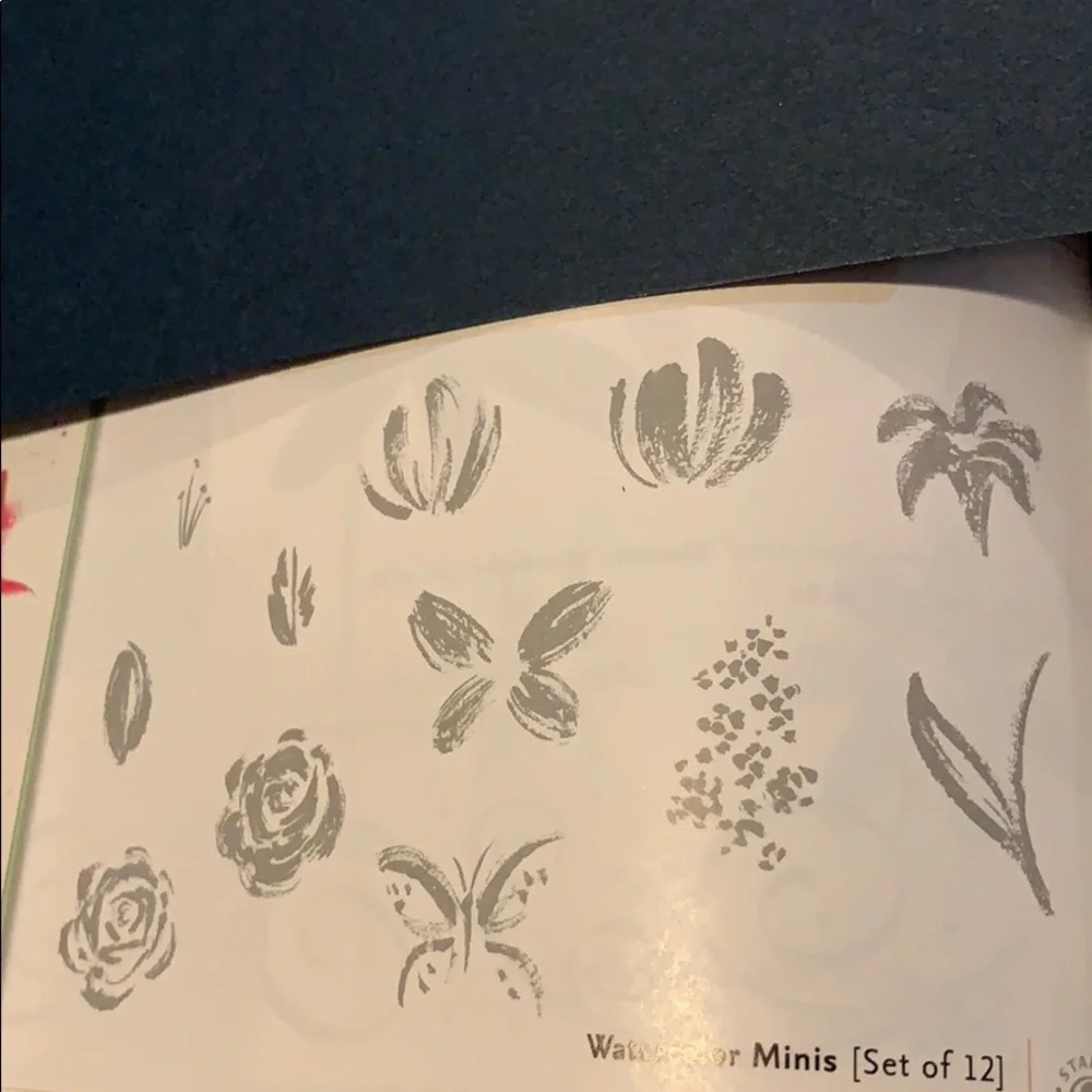 🎭 3/$25 - Stampin Up! Watercolor Minis two step